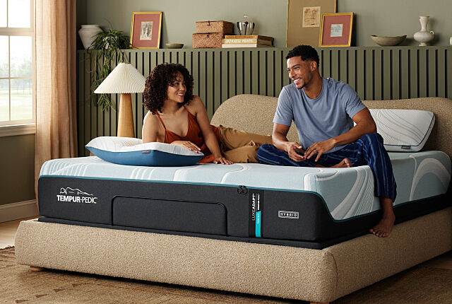 Best Mattress Furniture and Bed Store in San Francisco Bay Area Mancini s Sleepworld